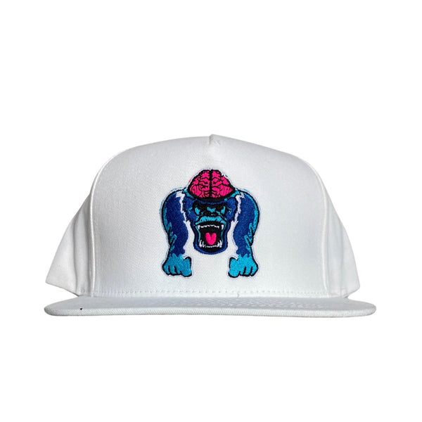 Classic Seymour Genius™ Adjustable Snapback